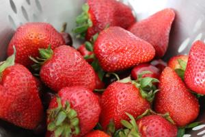 Клубника "САНДРА" (6 шт.)
